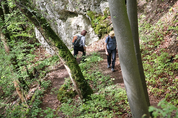 Wanderung_2023_019.jpg